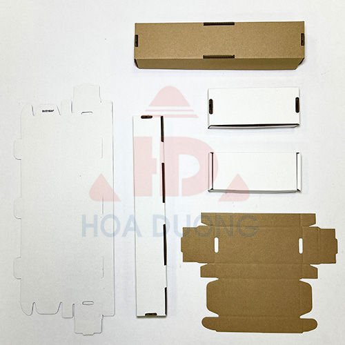 Hộp Giấy Carton